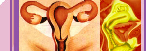 Infecciones genitales